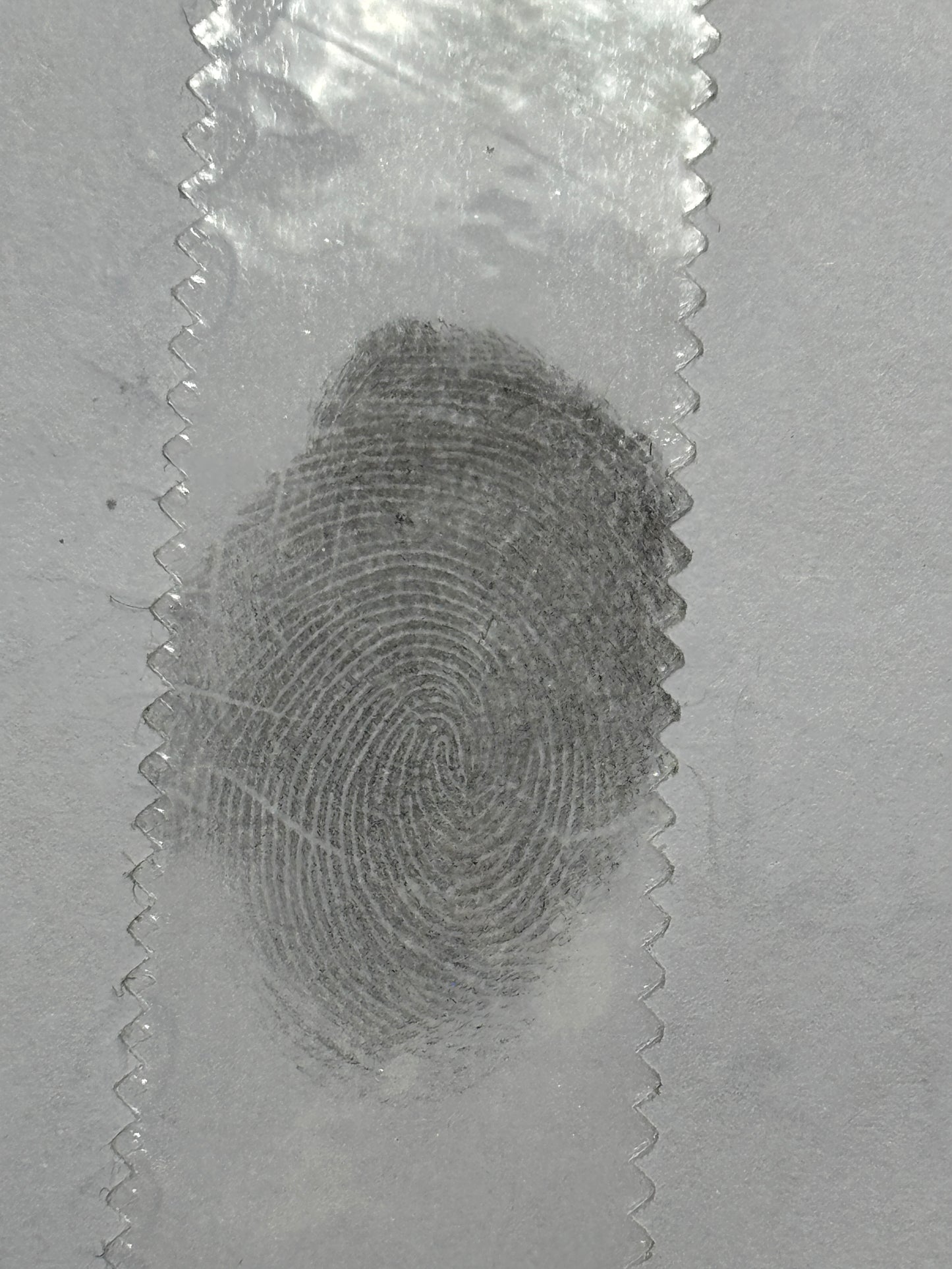Trace | van papier naar zilver