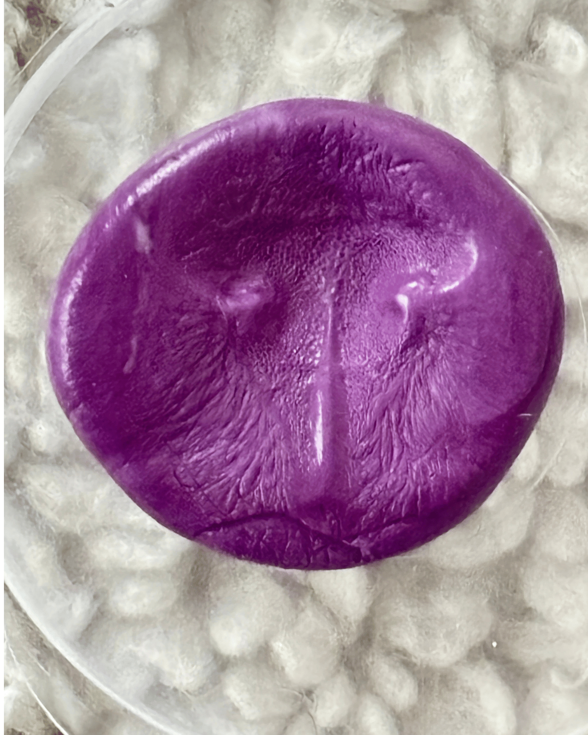 Roots |. Speciaal voor huisdieren