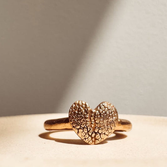 ring met hartje van relië van hondenneus