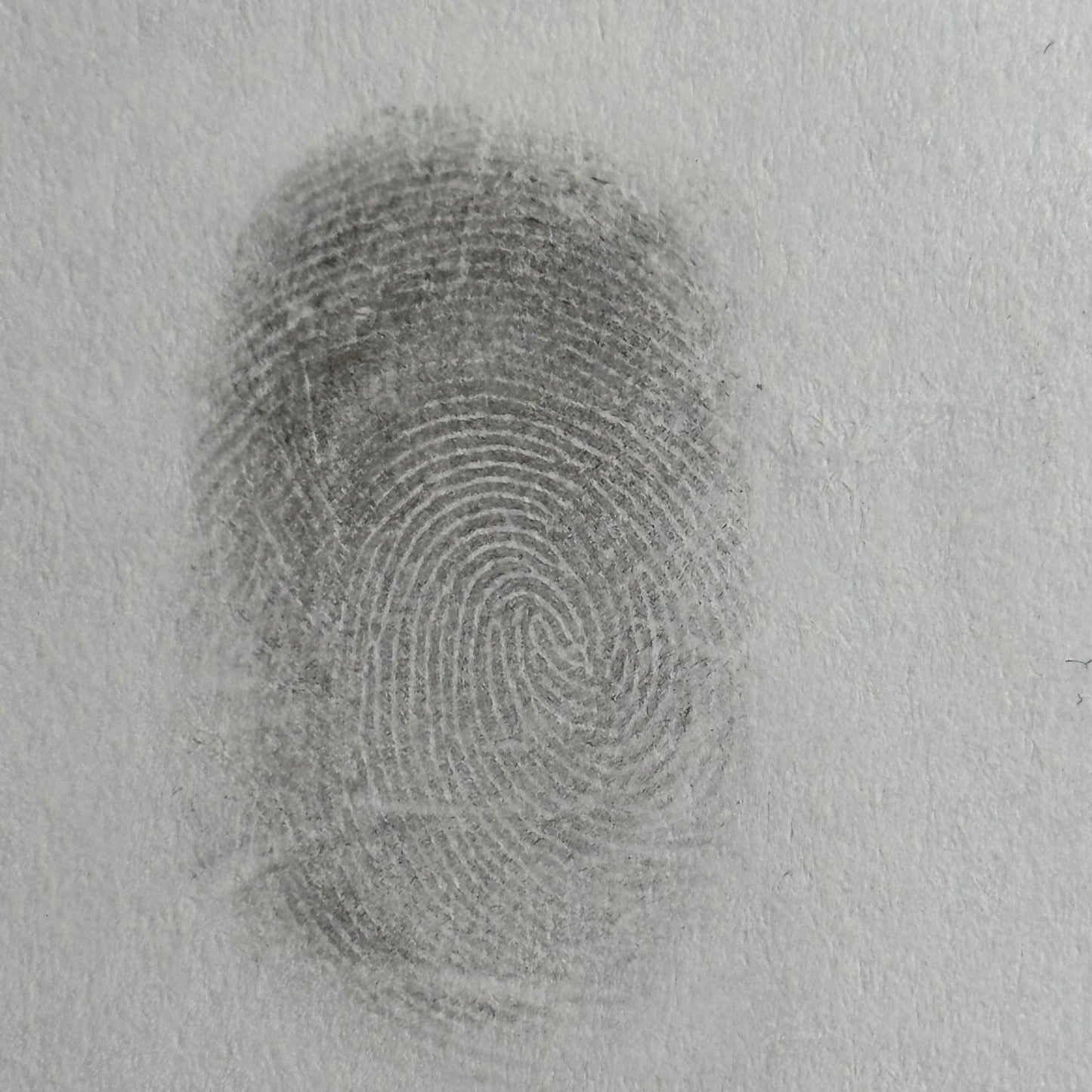 Trace | Laten maken