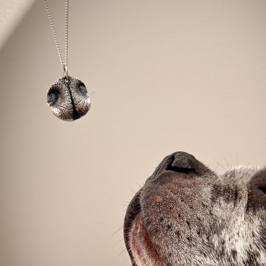 hondenneus van bulldogje met de hanger gemaakt van de afdruk van zijn neusje